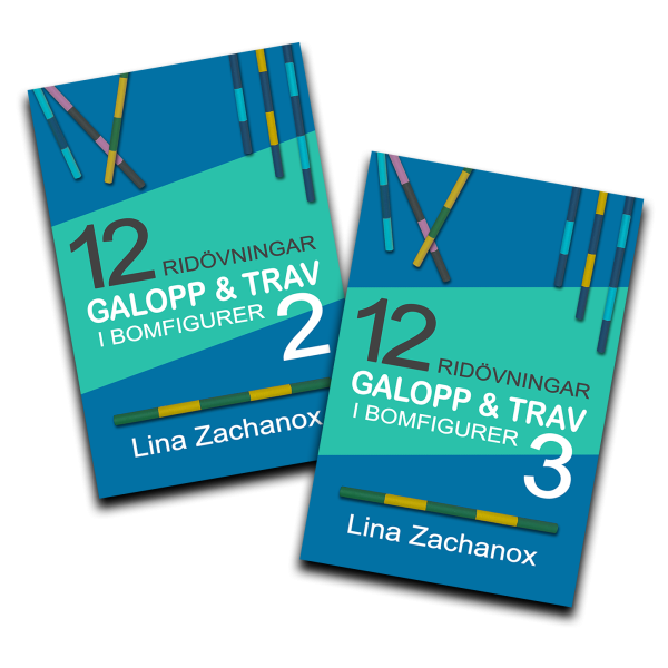 galopptrav-2-3-box